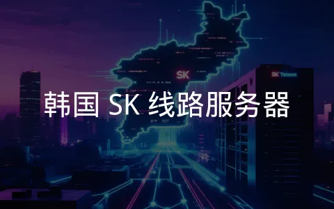 SK 线路 VPS 连接中韩的高速服务器