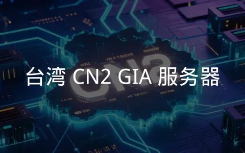精选台湾 CN2 GIA 优质线路商家