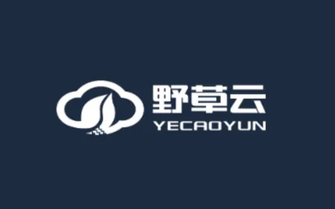 野草云 VPS 商家介绍,包含香港 VPS、大陆优化线路、便宜套餐